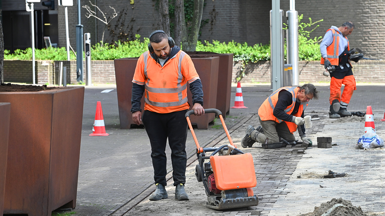 Low income and job insecurity often occur in combination with other vulnerabilities | De Nederlandsche Bank