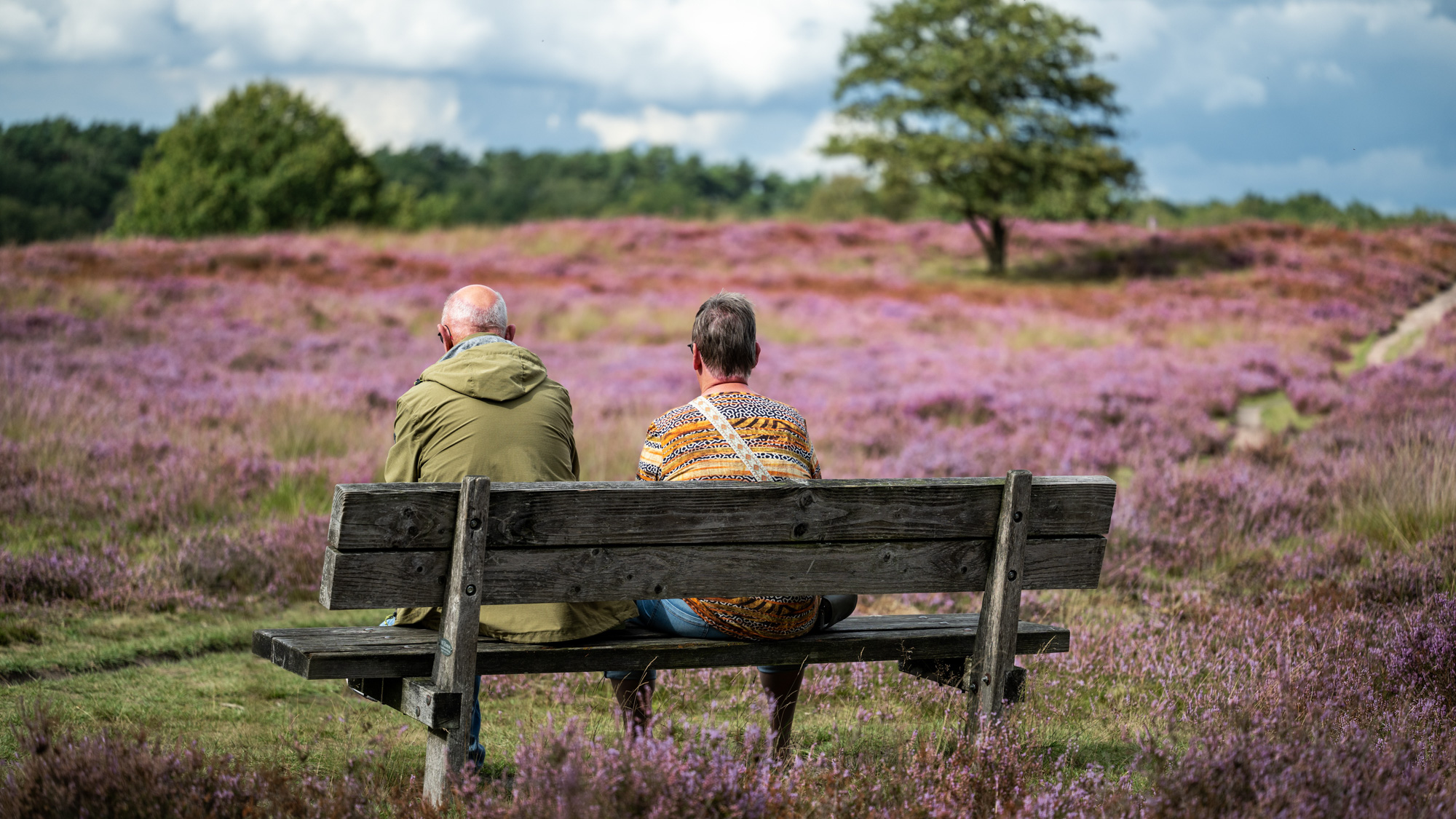 Gepensioneerden op een bankje op de heide in Gasteren