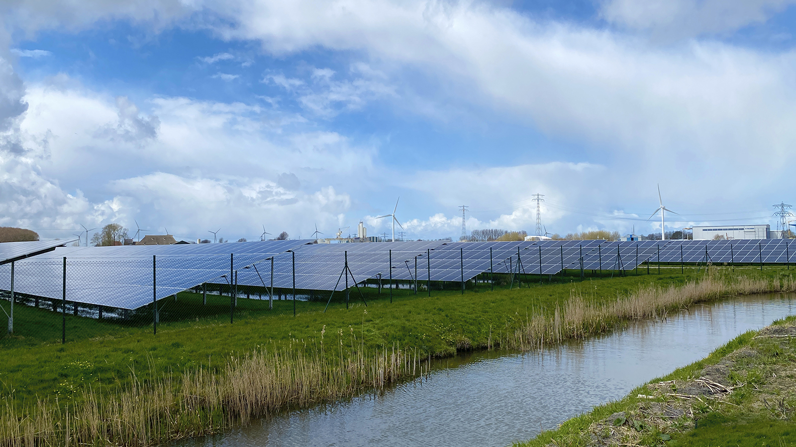 Zonnepanelen in de wei