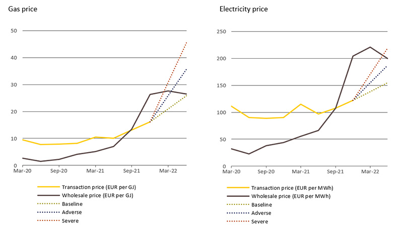 Historical development of energy prices and scenarios 