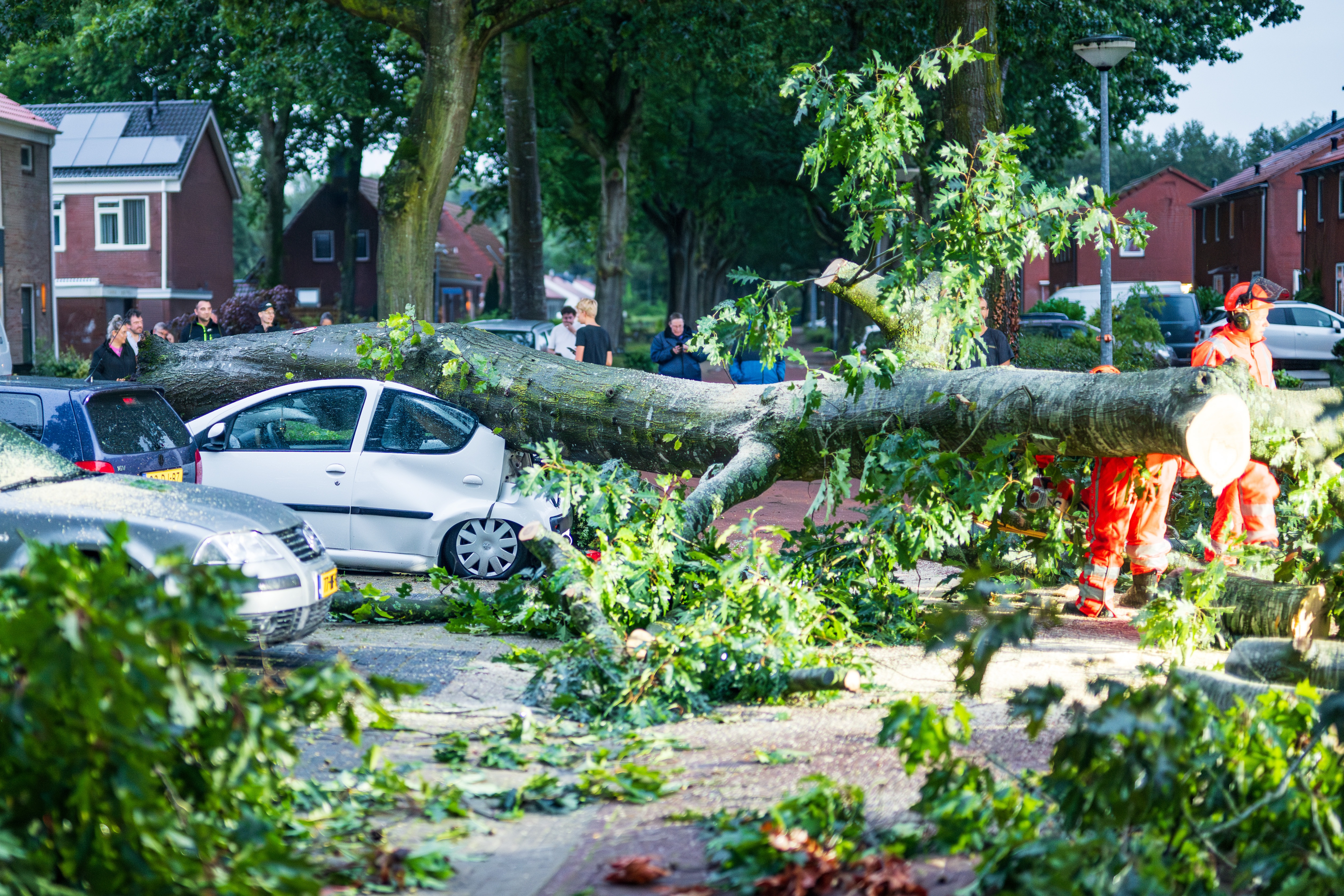  Boom omgewaaid en op een auto belandt. De auto raakte zwaar beschadigd. 