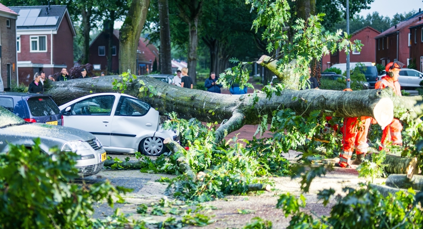  Boom omgewaaid en op een auto belandt. De auto raakte zwaar beschadigd. 