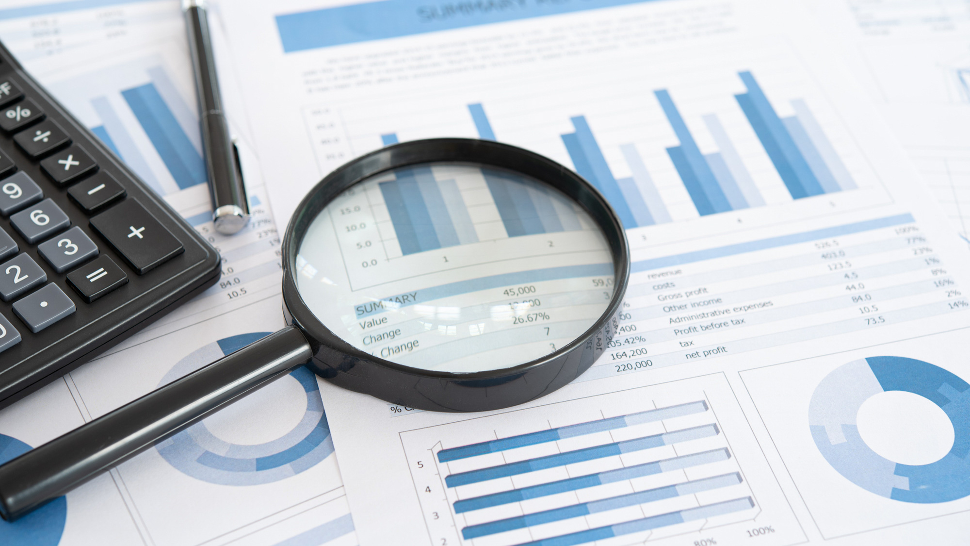 Interim Dividend