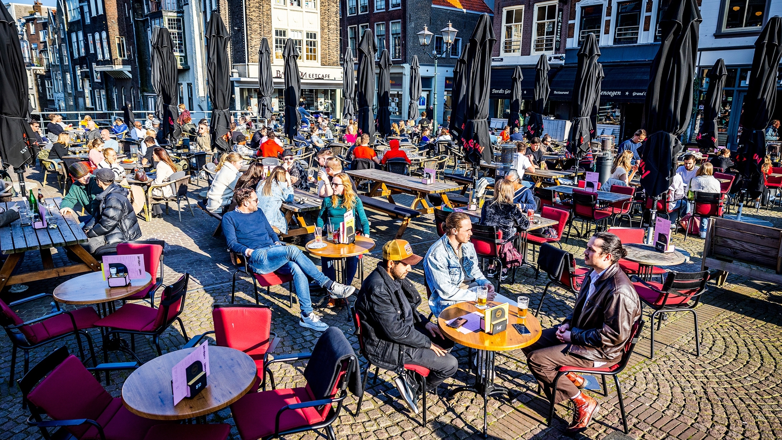 Terras
