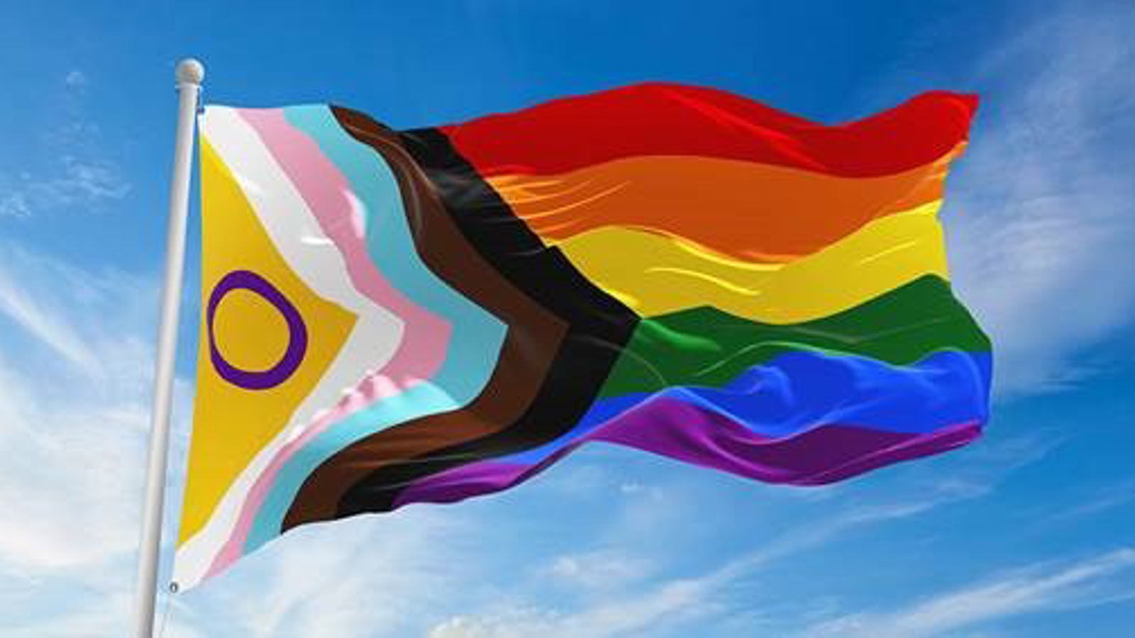 Progress vlag