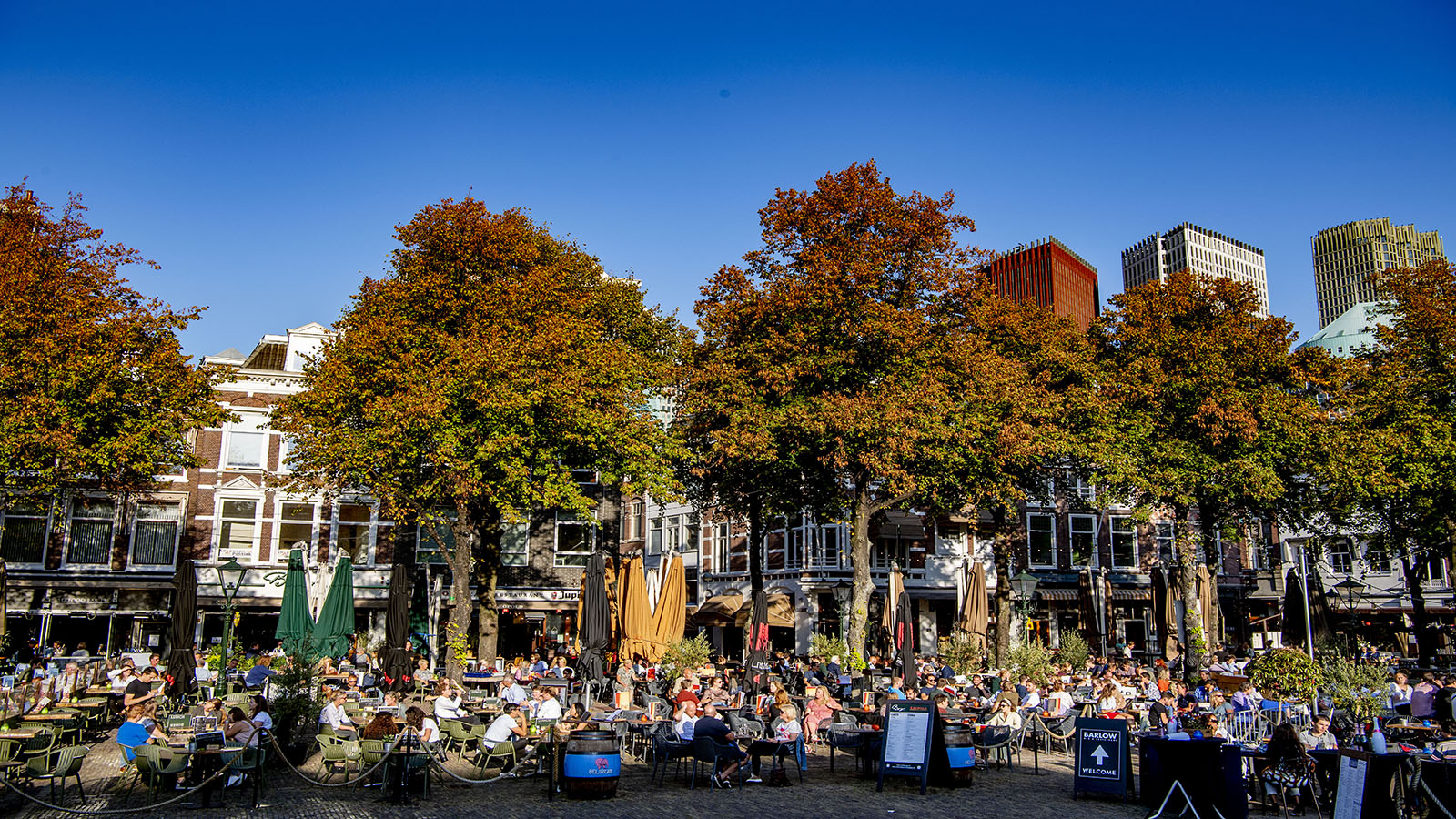 Terras in de zon