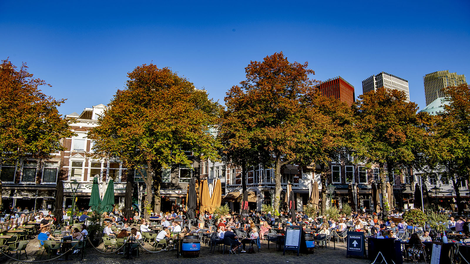 Terras in de zon