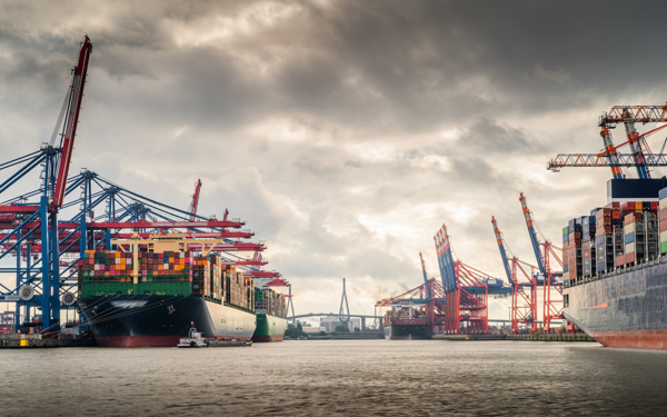 Containerterminal met grote schepen in de haven van Hamburg.