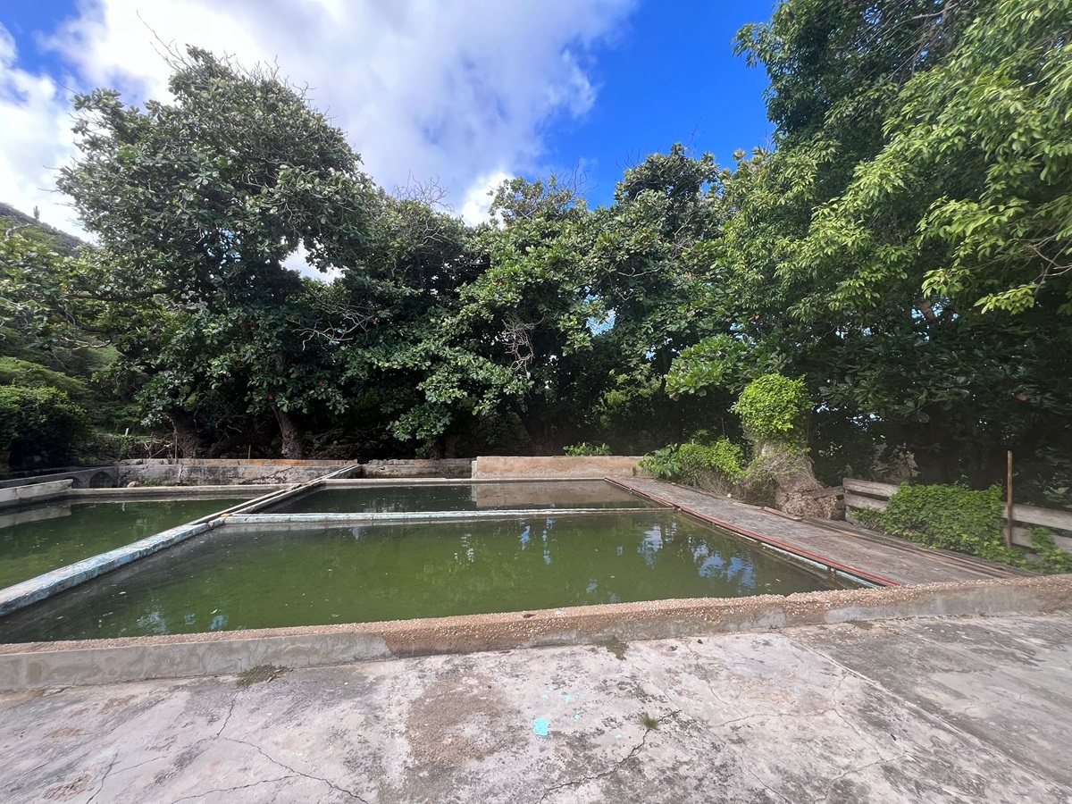De voormalige plantage Fontein wordt gerestaureerd en krijgt een herinneringsplek