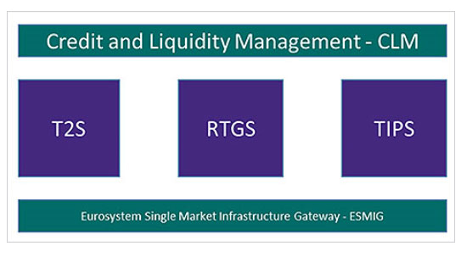 Credit and Liquidity Management - CLM