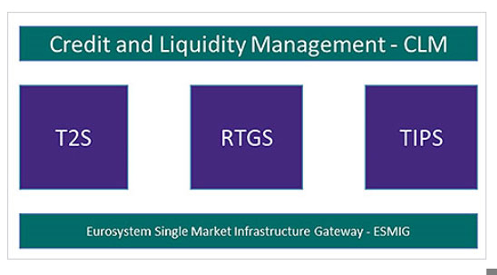 Credit and Liquidity Management - CLM