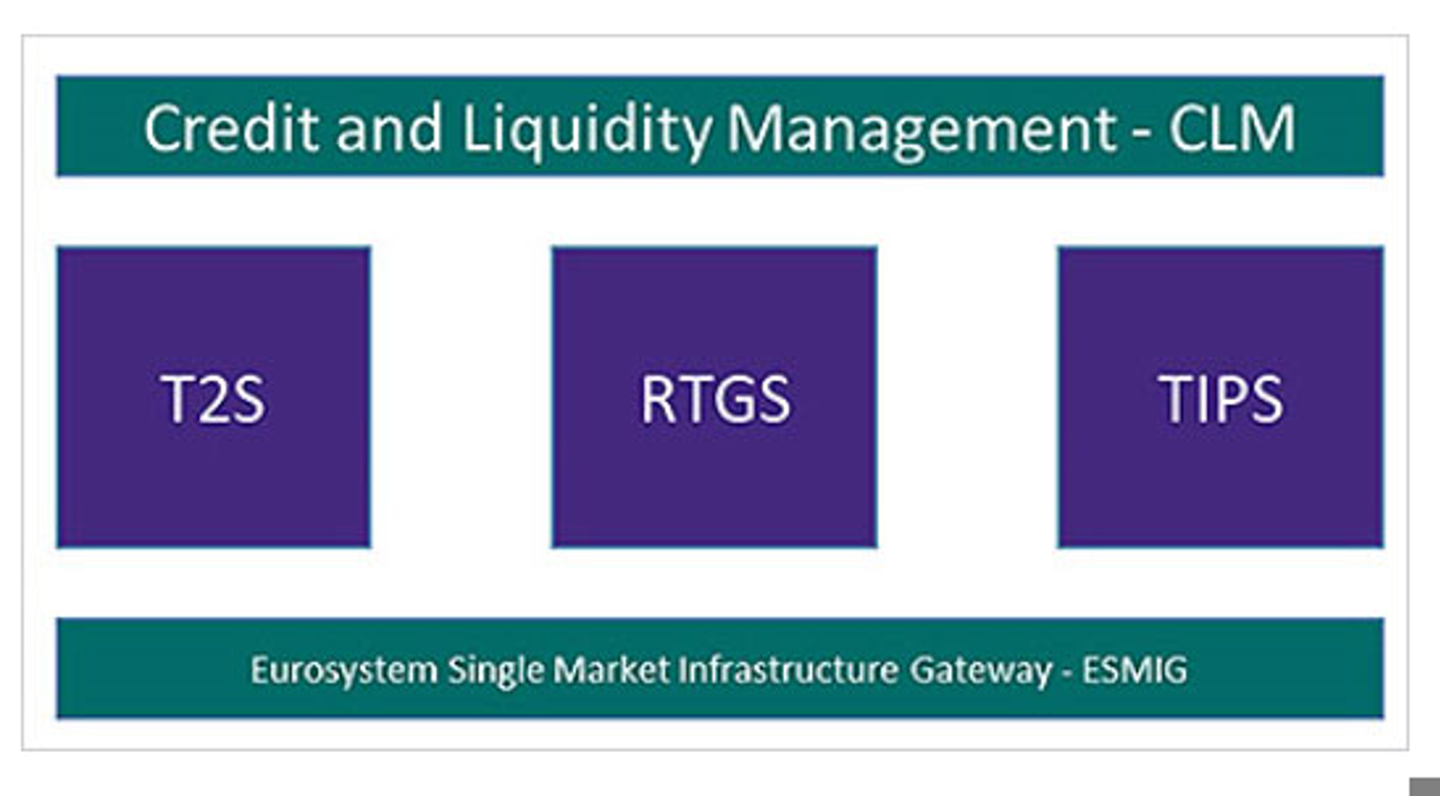 Credit and Liquidity Management - CLM