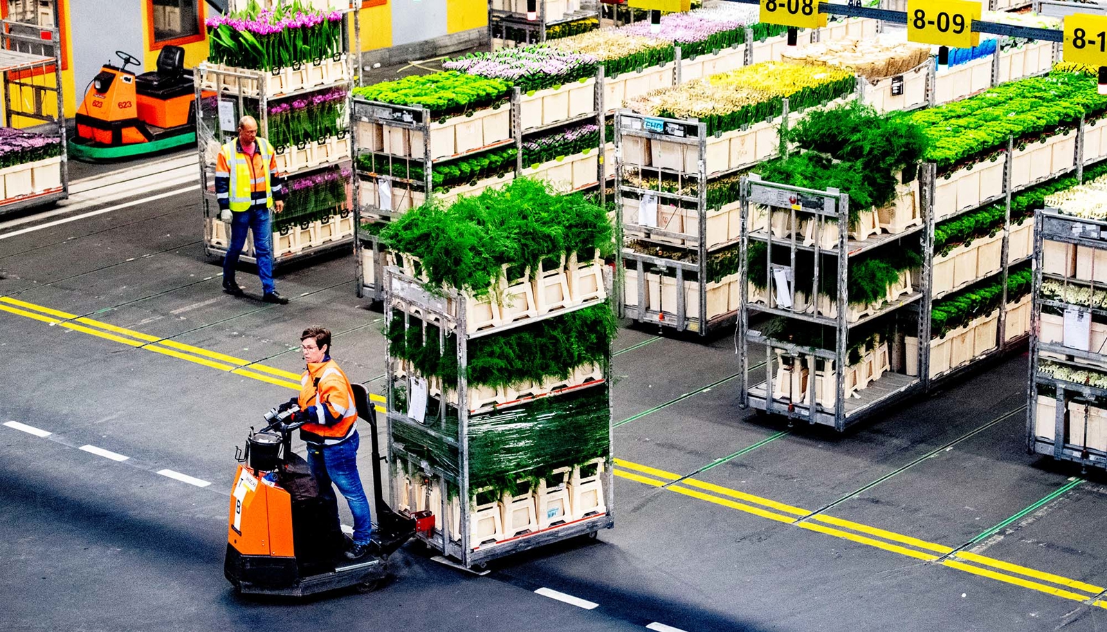Bloemen in bakken opgestapeld in rekken