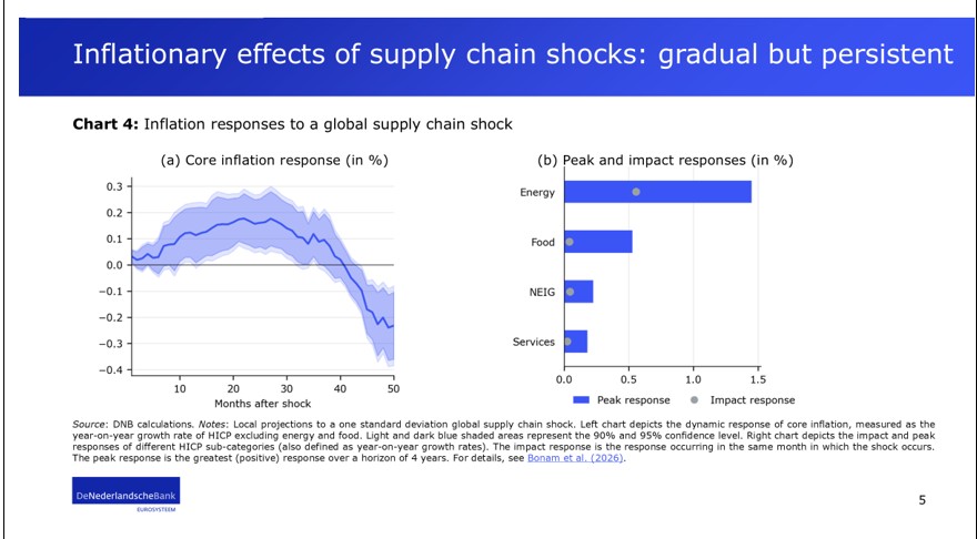 International effects of supply chain shocks: gradual but persistent